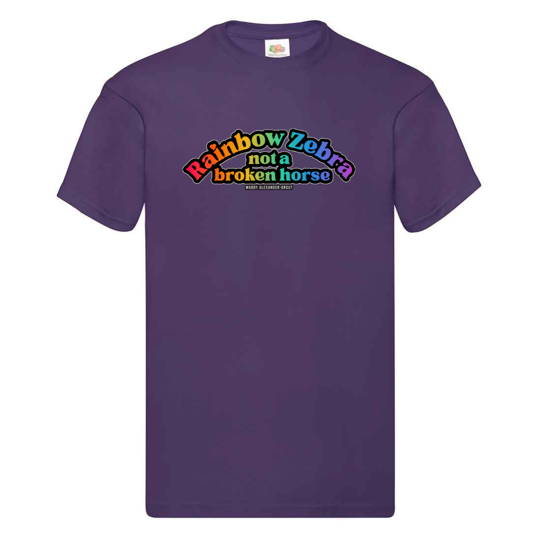 Rainbow Zebra Not a Broken Horse T-shirt