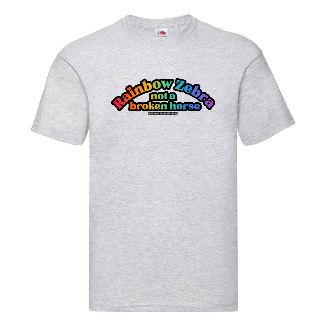 Rainbow Zebra Not a Broken Horse T-shirt