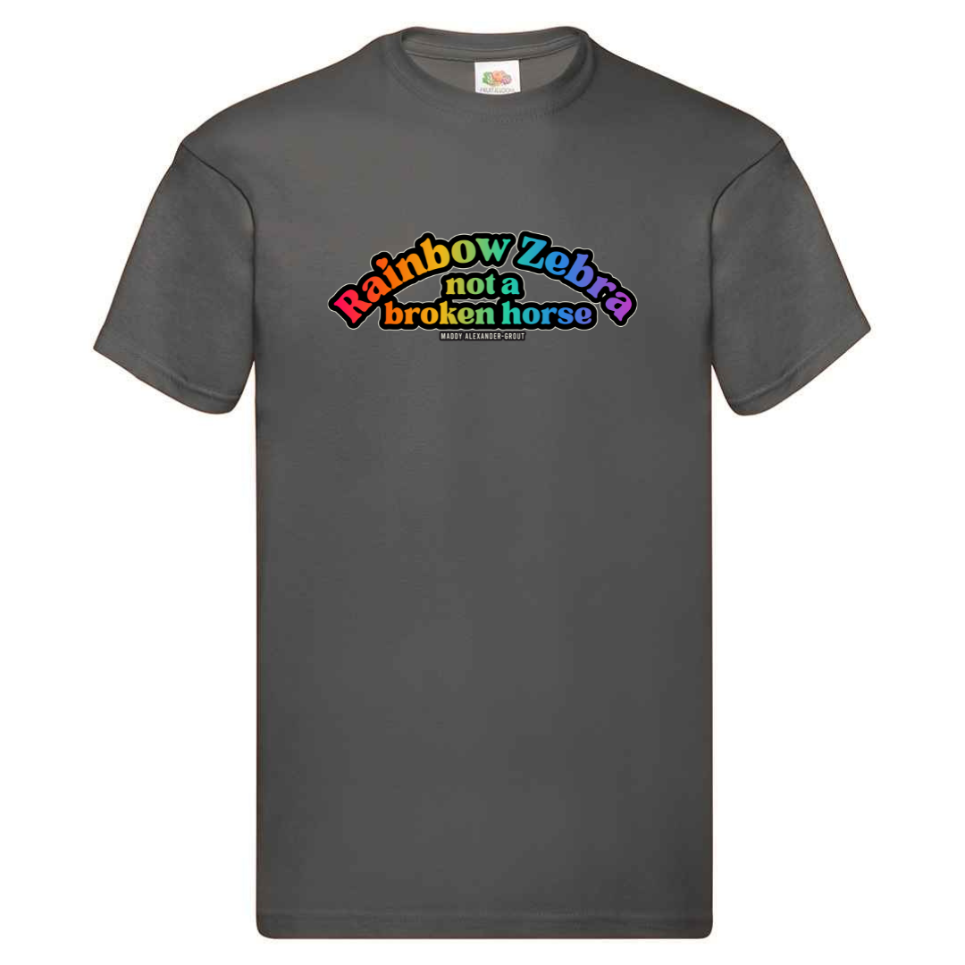 Rainbow Zebra Not a Broken Horse T-shirt