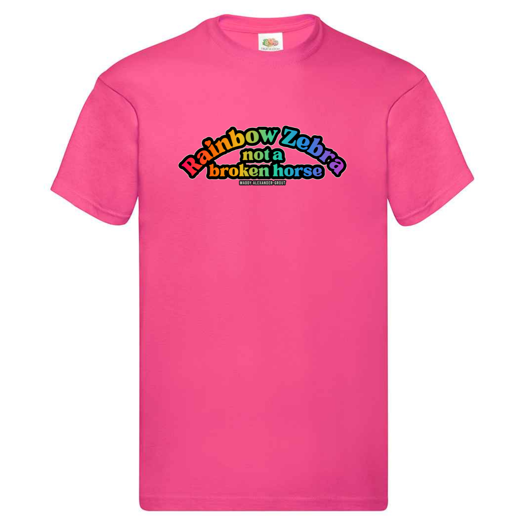 Rainbow Zebra Not a Broken Horse T-shirt