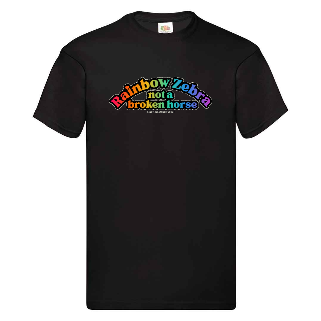 Rainbow Zebra Not a Broken Horse T-shirt