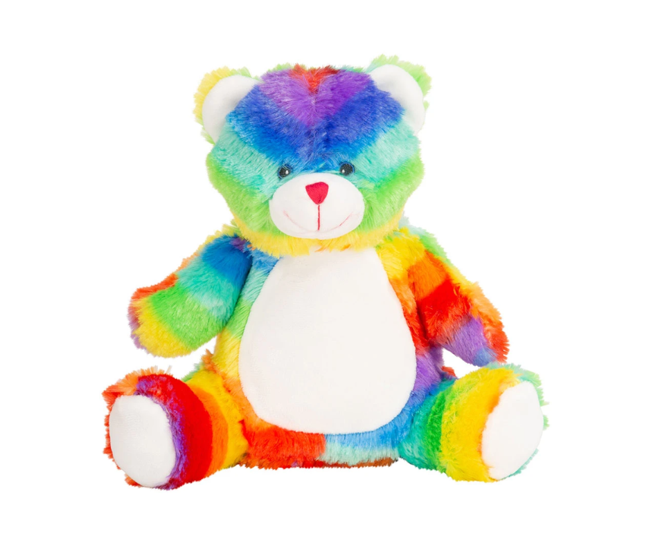 Rainbow Teddy and Bag