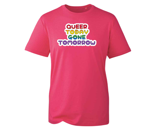 Queer Today Gone Tomorrow