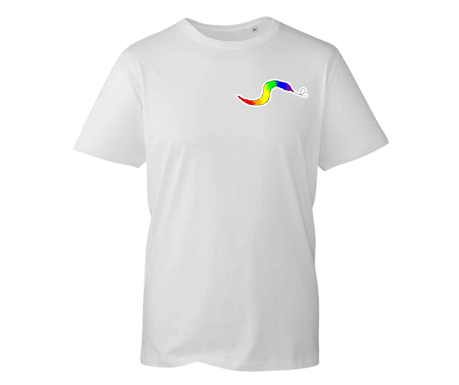 Rainbow Worm T-shirt - various colours