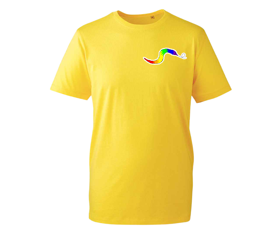 Rainbow Worm T-shirt - various colours