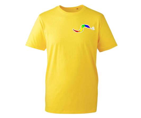 Rainbow Worm T-shirt - various colours