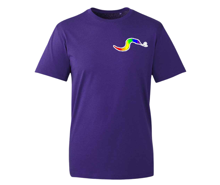 Rainbow Worm T-shirt - various colours