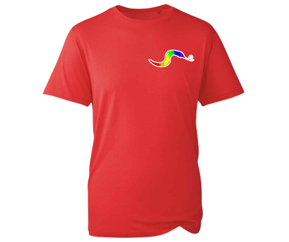 Rainbow Worm T-shirt - various colours
