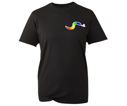 Rainbow Worm T-shirt - various colours