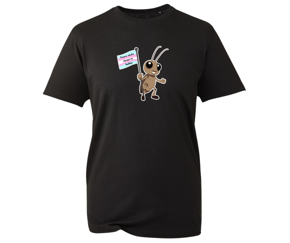 Trans Kids Deserve Better t-shirt - various colours available