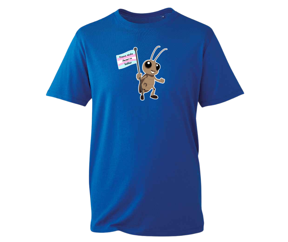 Trans Kids Deserve Better t-shirt - various colours available